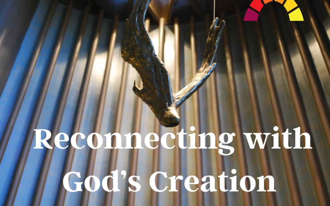 Reconnecting with God’s Creation