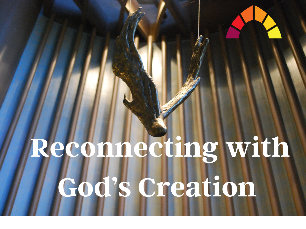 reconnectingforweb