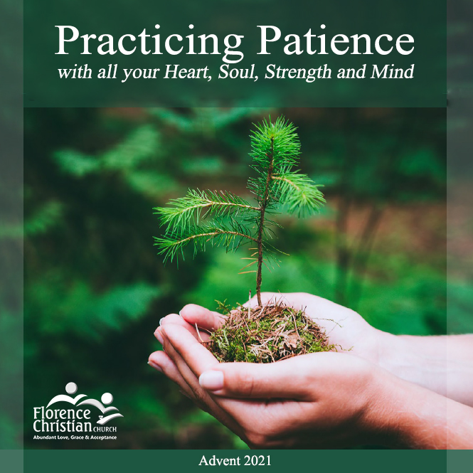 Patience - Advent 2020 square