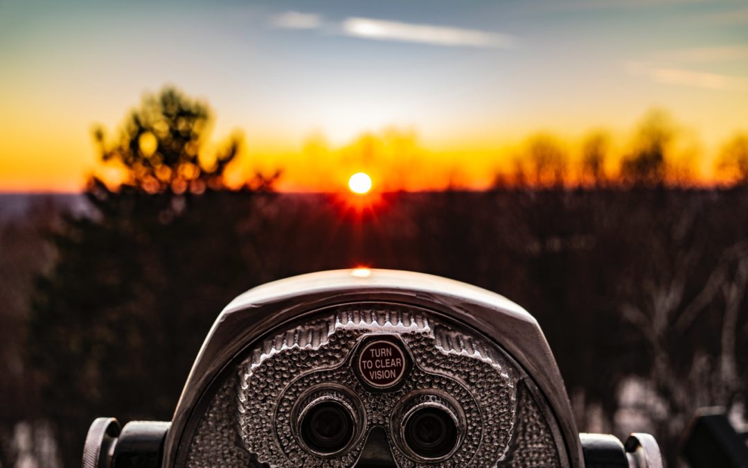 Vision and Desire